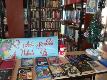 Новогодние книжные выставки