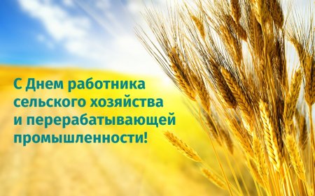Это земля моя и твоя