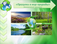 Экологический маршрут «Прогулки в мир природы»